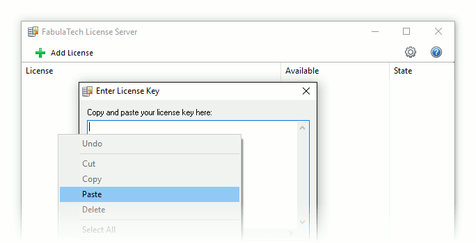 Paste License Key